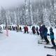 Illustration for article titled 2019-2020 Ski Season in Review